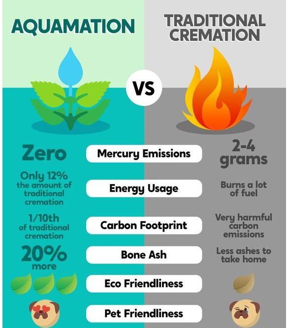 Exploration of green cremation methods